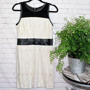 Kensie Lace Ivory Dress Small
